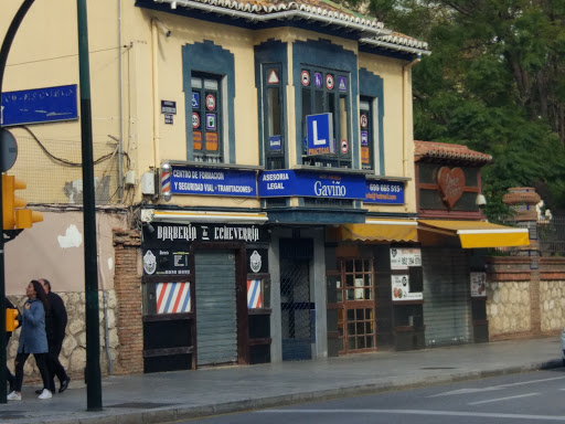 Autoescuela Gavi&ntilde;o