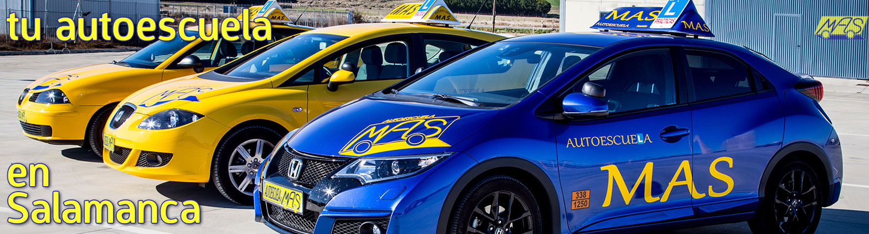 Autoescuela Mas y S&aacute;nchez S.L.