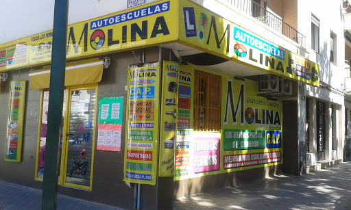 Autoescuela Molina Zaid&iacute;n