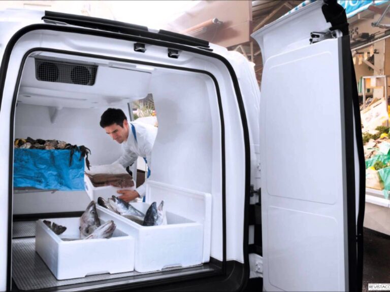 Promoviendo la Eficiencia: Claves para el Transporte Seguro de Alimentos en el Mundo del Motor